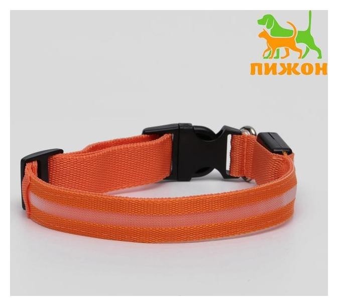Ошейник с подсветкой, L, , 3 режима свечения, оранжевый
Ошейник с подсветкой, L, , 3 режима свечения, оранжевый