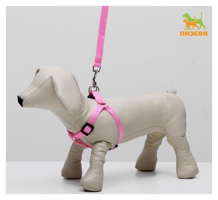 Комплект "Базис", поводок 120 х 1,5 см, шлейка 32-46 х 1,5 см, розовый 
Комплект "Базис", поводок 120 х 1,5 см, шлейка 32-46 х 1,5 см, розовый