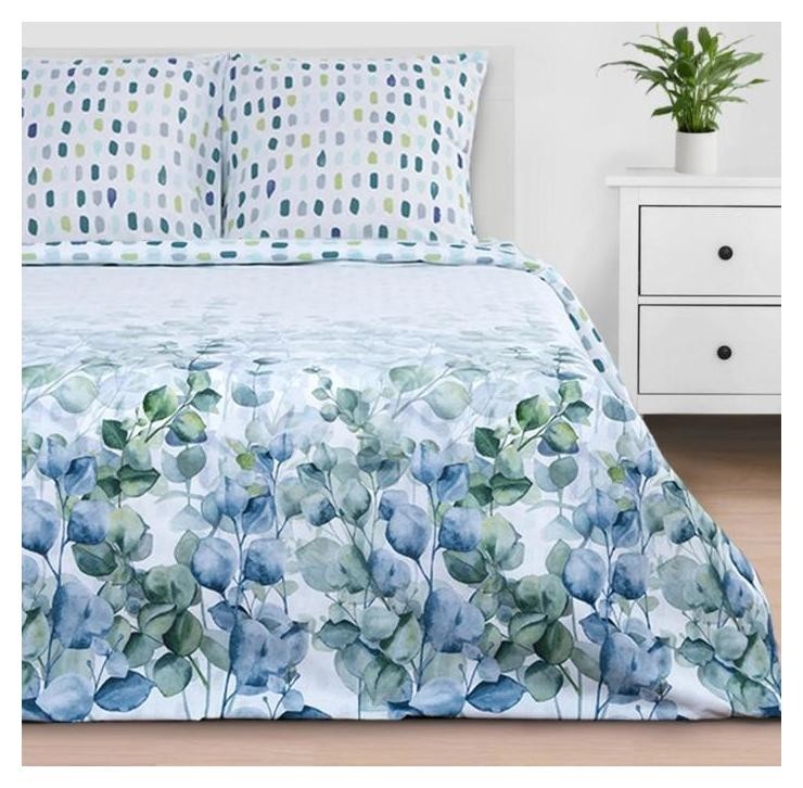 Постельное белье "Этель" Eucalyptus 200*217 см, 220*240 см, 70*70 см - 2 шт, поплин, Зеленый
Постельное белье "Этель" Eucalyptus 200*217 см, 220*240 см, 70*70 см - 2 шт, поплин, Зеленый