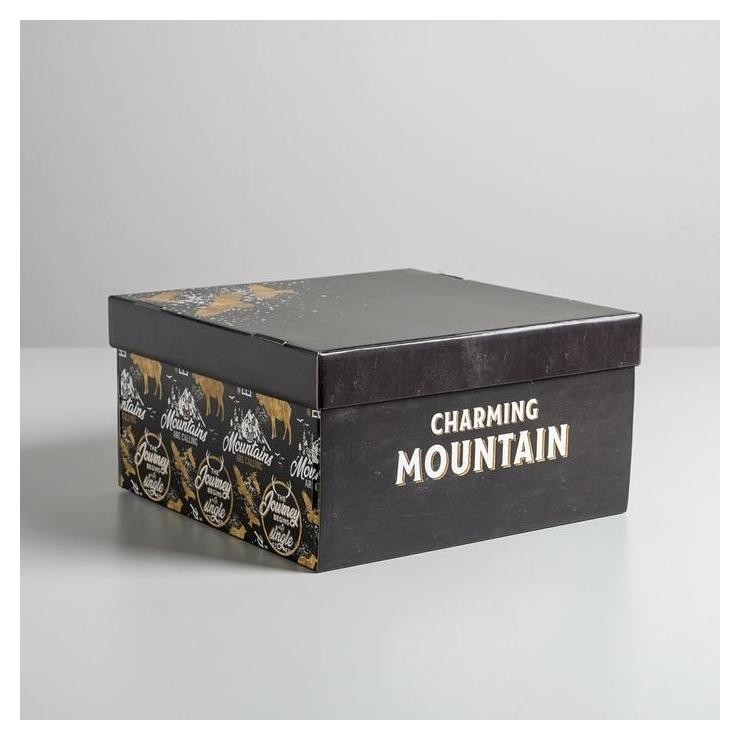 Коробка складная «Брутальность», Чёрный
Коробка складная «Брутальность», Чёрный