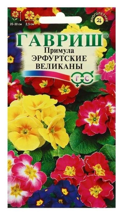Семена цветов примула "Эрфуртские великаны", серия устойчив к заморозкам, 20 шт, Разноцветный
Семена цветов примула "Эрфуртские великаны", серия устойчив к заморозкам, 20 шт, Разноцветный