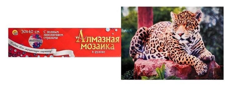 Алмазная мозаика 30×40 см, классическая, полное заполнение, б/ подрамника, «Леопард на отдыхе»
Алмазная мозаика 30×40 см, классическая, полное заполнение, б/ подрамника, «Леопард на отдыхе»