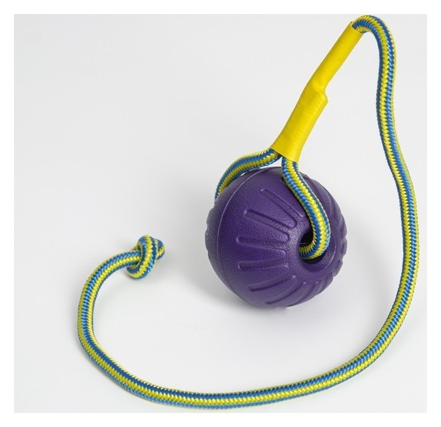 Мяч из EVA на верёвке, для дрессировки, 7 см, фиолетовый
Мяч из EVA на верёвке, для дрессировки, 7 см, фиолетовый