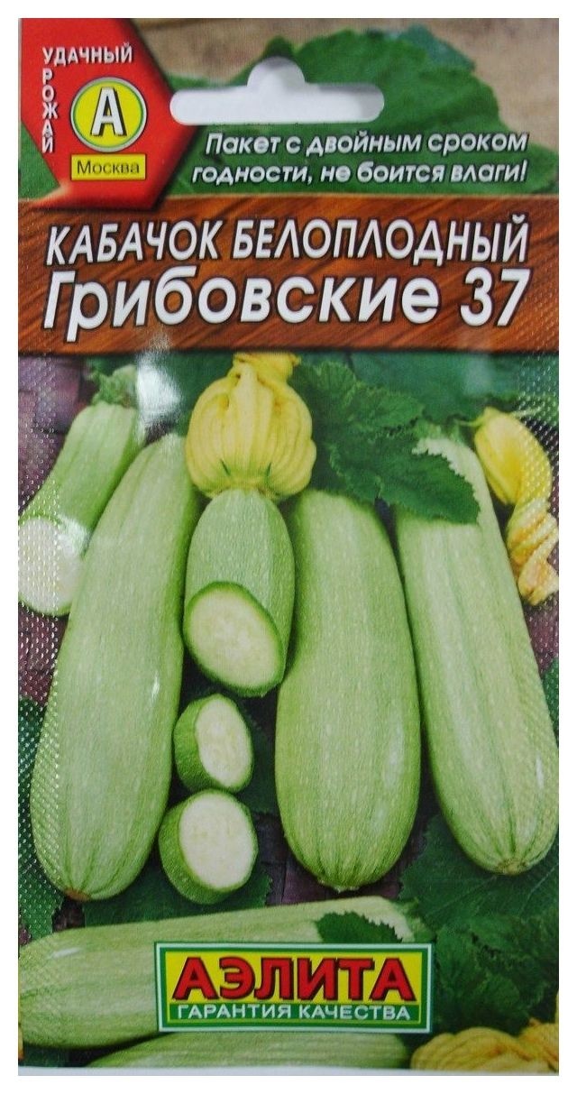 Семена Кабачок белоплодный "Грибовские 37" (лидер) 
Семена Кабачок белоплодный "Грибовские 37" (лидер)
