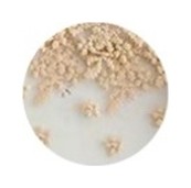 Beige, Размер универсальный  Teatro