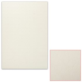 Картон белый грунтованный для масляной живописи, 50х70 см, односторонний, толщина 0,9 мм, масляный грунт Подольские товары для художников