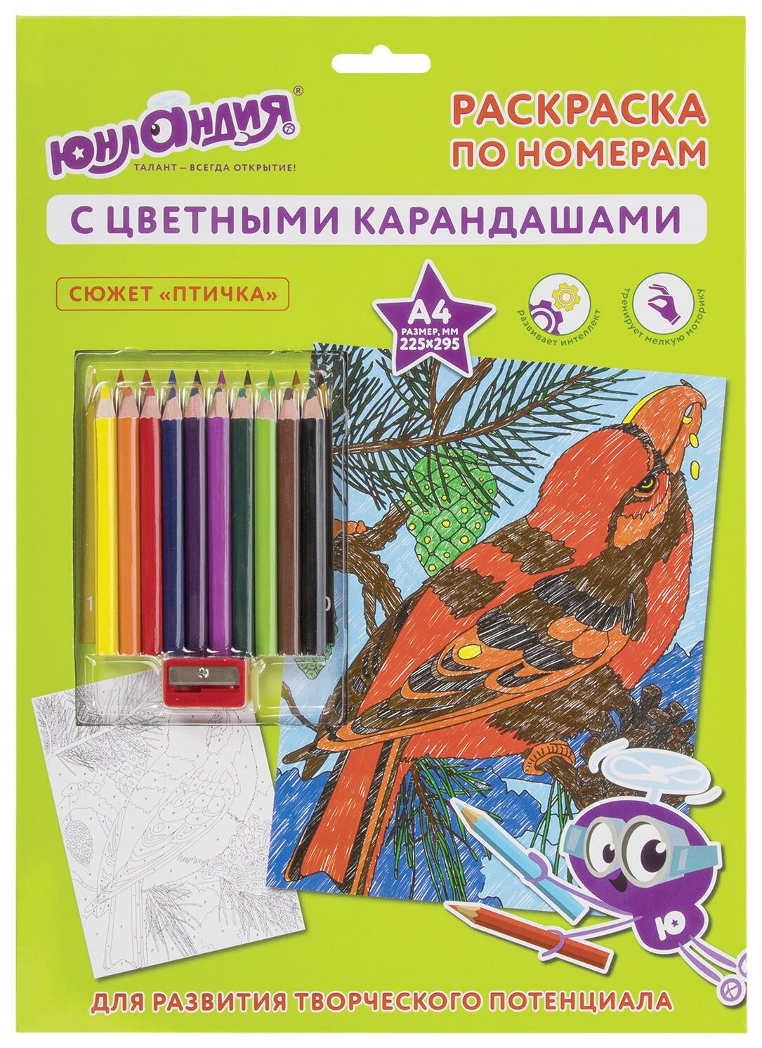 Раскраска по номерам А4, "Птичка", с цветными карандашами, на картоне  Юнландия
