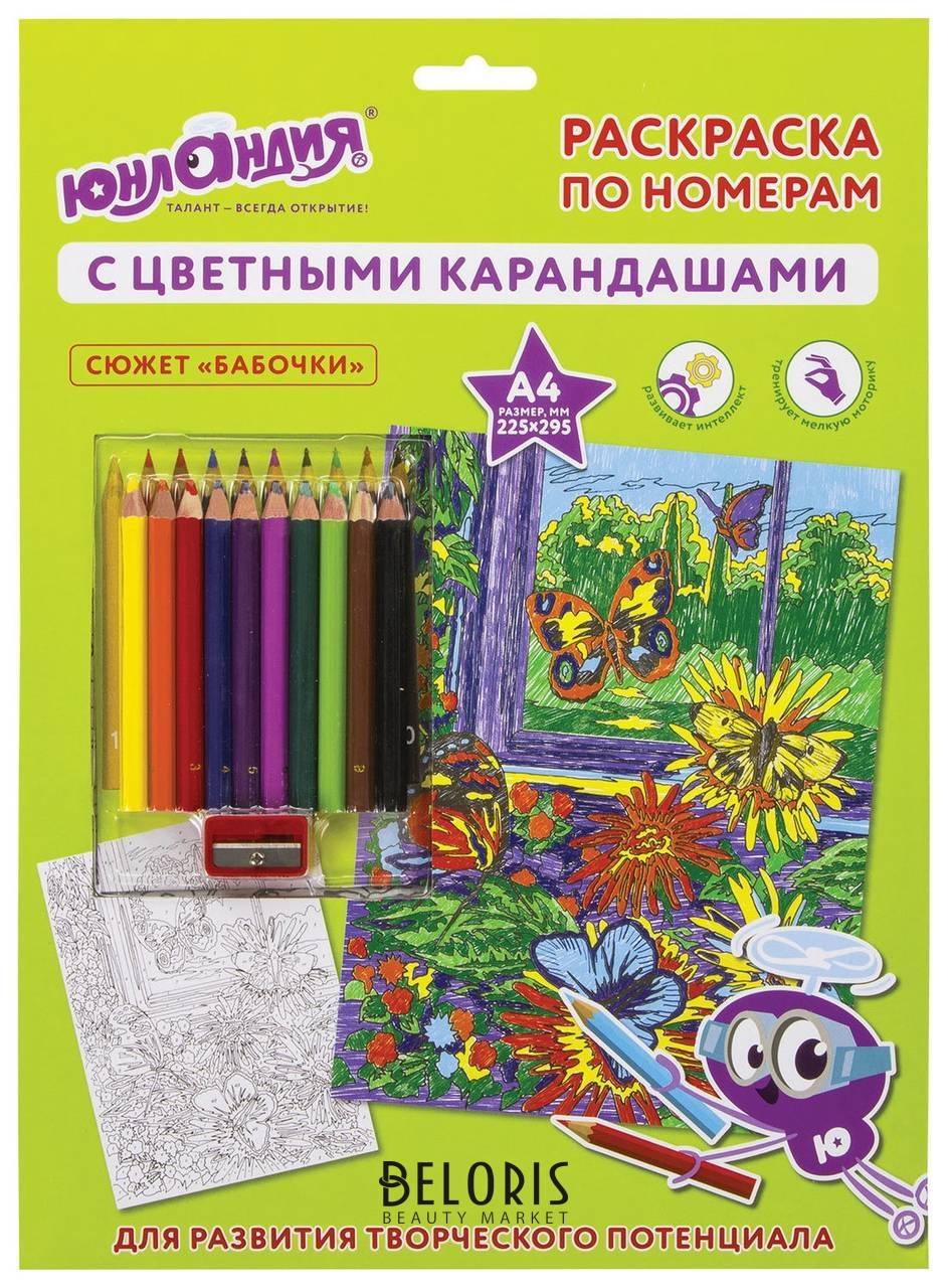 Раскраска по номерам А4, Бабочки, с цветными карандашами, на картоне Юнландия