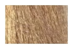 Тон 9/3 Очень светлый блондин золотистый  Lisap Milano