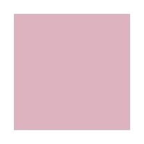 Rosa, Размер 35-38 Golden Lady