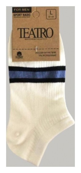 Носки мужские Sport basic 10  Teatro