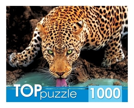 

Пазлы 1000 элементов Красивый леопард