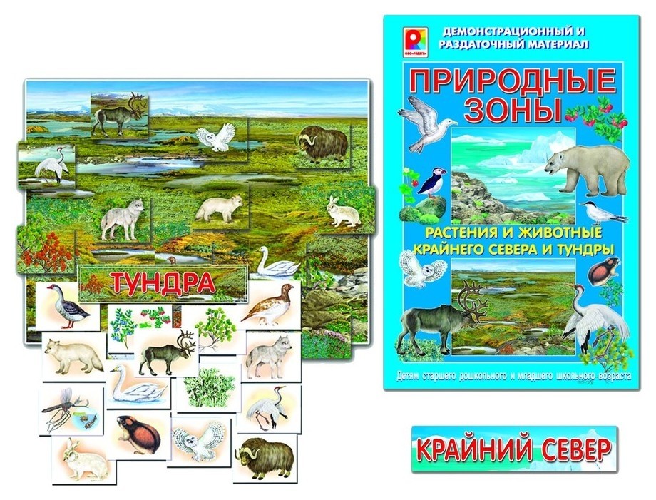 Набор природных зон. Природные зоны животные и растения. Природные зоны с животными и растениями. Природные зоны России для дошкольников. Наглядные пособии природные зоны.