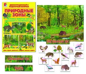Демонстрационный раздаточный материал Животные и растения смешанного и лиственного леса Радуга Kids