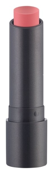 Губная помада матовая Perfect Matte Lipstick Essence