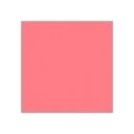 Rosa, Размер 5  Innamore