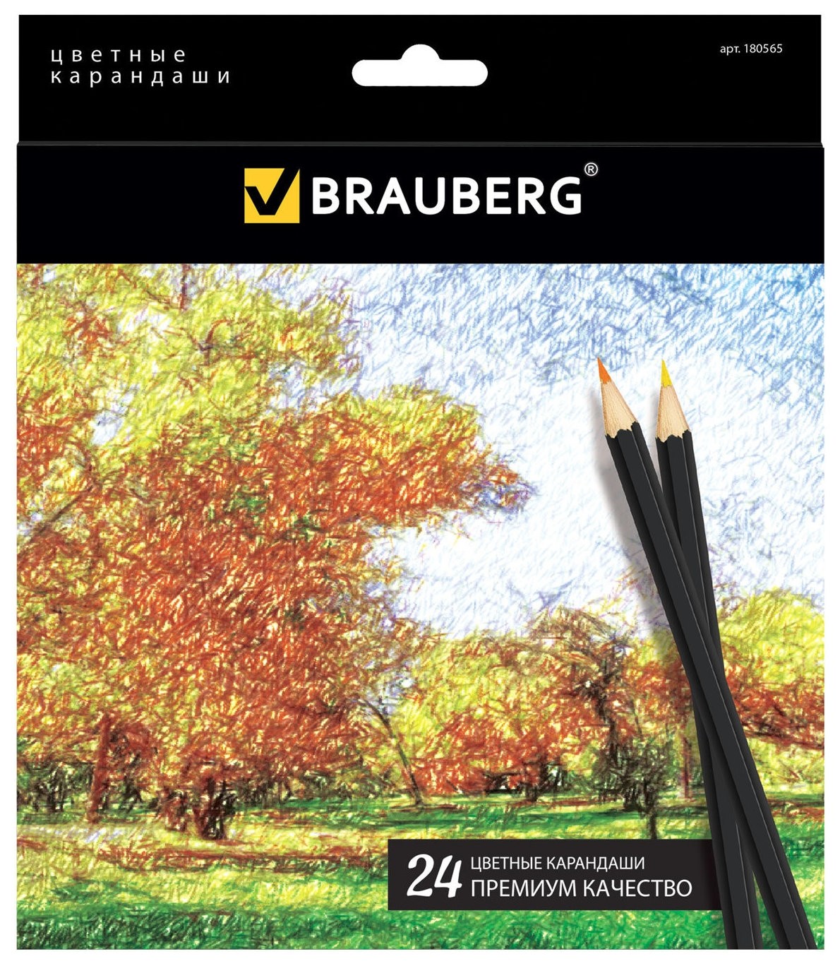 

Карандаши цветные 24 цвета Artist Line