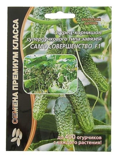 Огурцы Само Совершенство Отзывы Фото