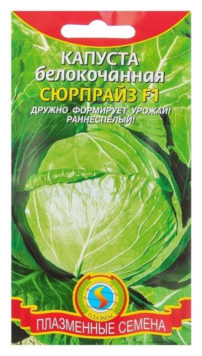 

Семена Капуста белокочанная, "Зимовка 1474", серия Кольчуга NEW, 0.5 г