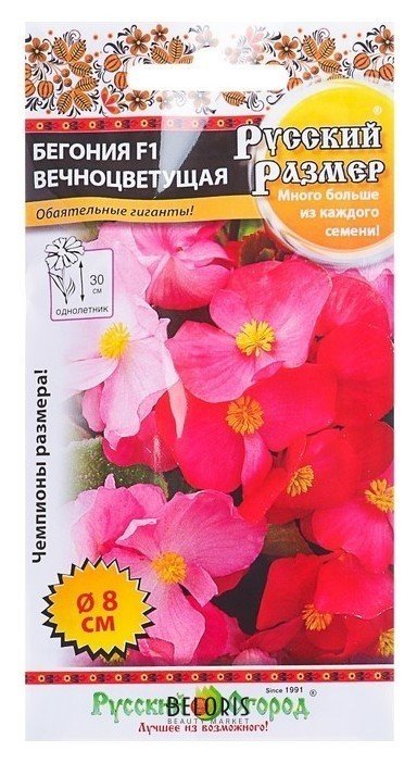 Семена цветов бегония вечноцветущая F1, серия русский размер смесь, 5 шт Русский огород