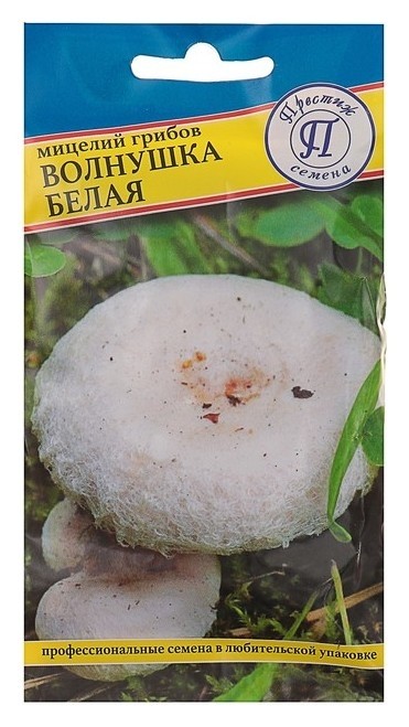 Мицелий грибов волнушка белая