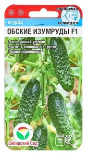 Семена Огурец "Обские изумруды" F1, раннеспелый, партенокарпический Сибирский сад