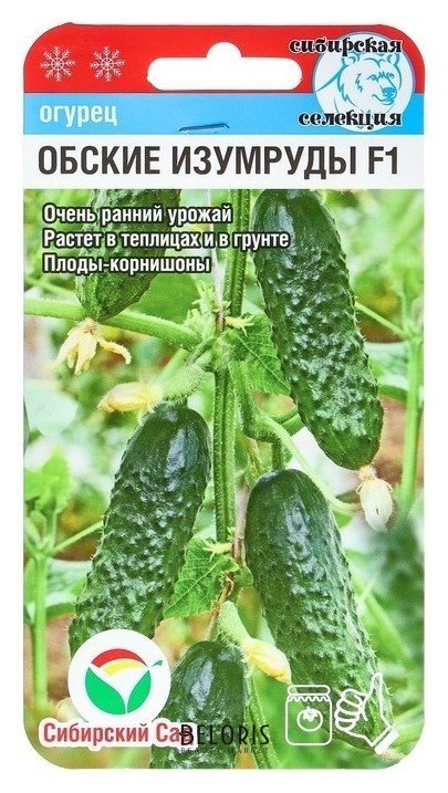 Семена Огурец Обские изумруды F1, раннеспелый, партенокарпический Сибирский сад