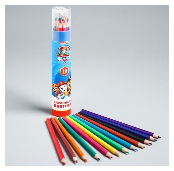 Карандаши цветные в тубусе, 12 цветов, точилка в комплекте  Paw patrol