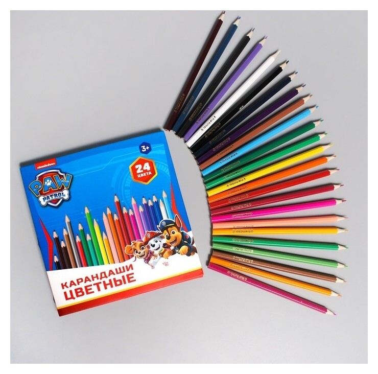 Карандаши цветные 24 цветов Paw patrol