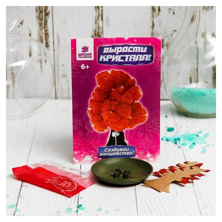 Красный  Школа талантов