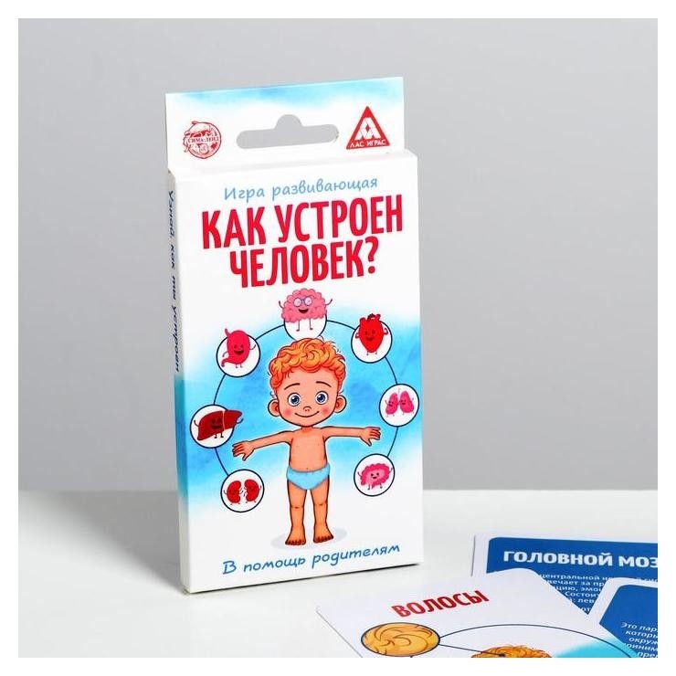 

Развивающая игра «Как устроен человек»