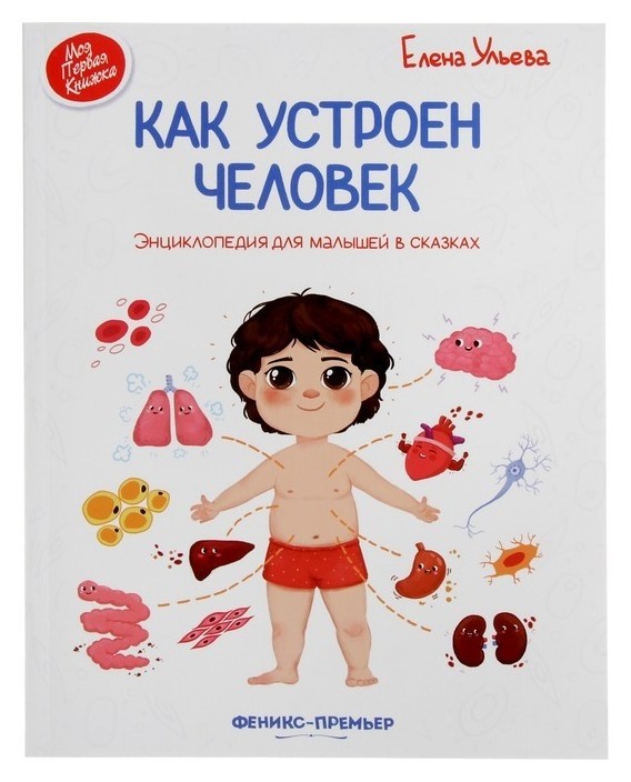 Энциклопедия для малышей в сказках Как устроен человек Ульева Е. А. Издательство Феникс-Премьер