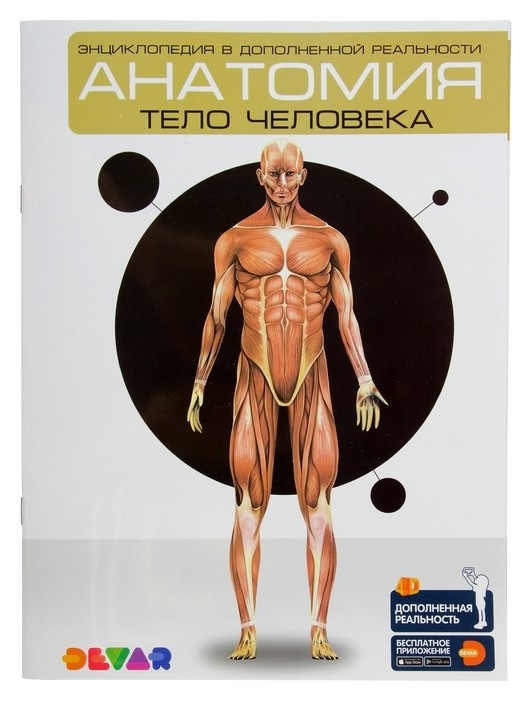 Энциклопедия 4D в дополненной реальности Анатомия: тело человека