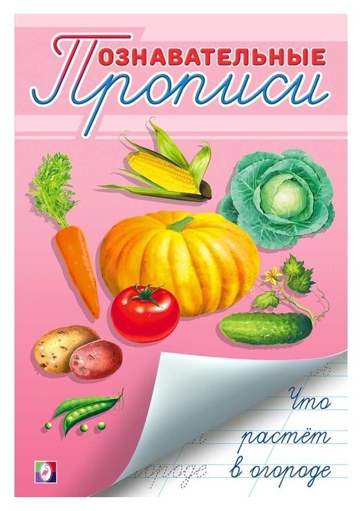 Познавательные прописи Что растёт в огороде Издательство Фламинго
