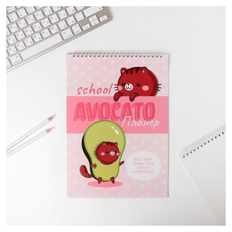 

Планер школьника вертикальный А4 Avocato