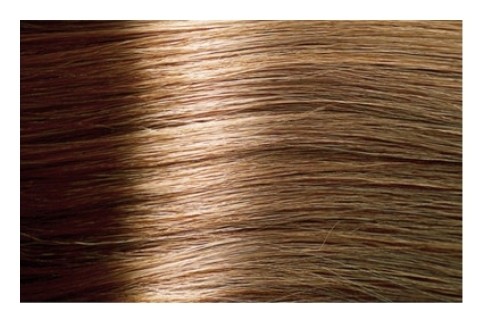 Тон 8.03 Теплый светлый блонд  Kapous Professional