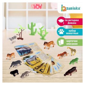 Набор животных с обучающими карточками Дикие животные разных стран, животные пластик, карточки Iq-zabiaka