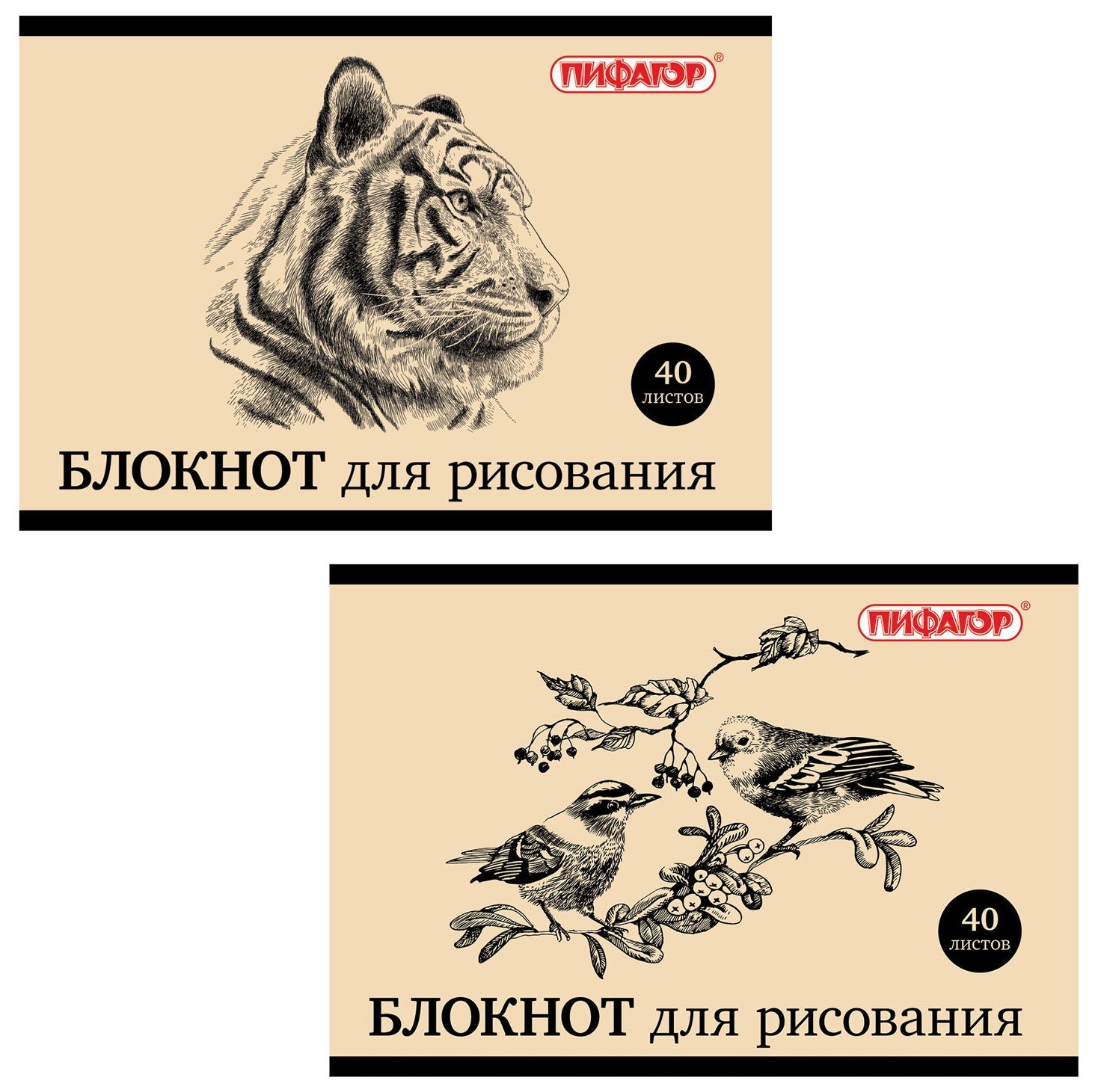 

Блокнот для рисования А4, 40 листов "Дикий мир"