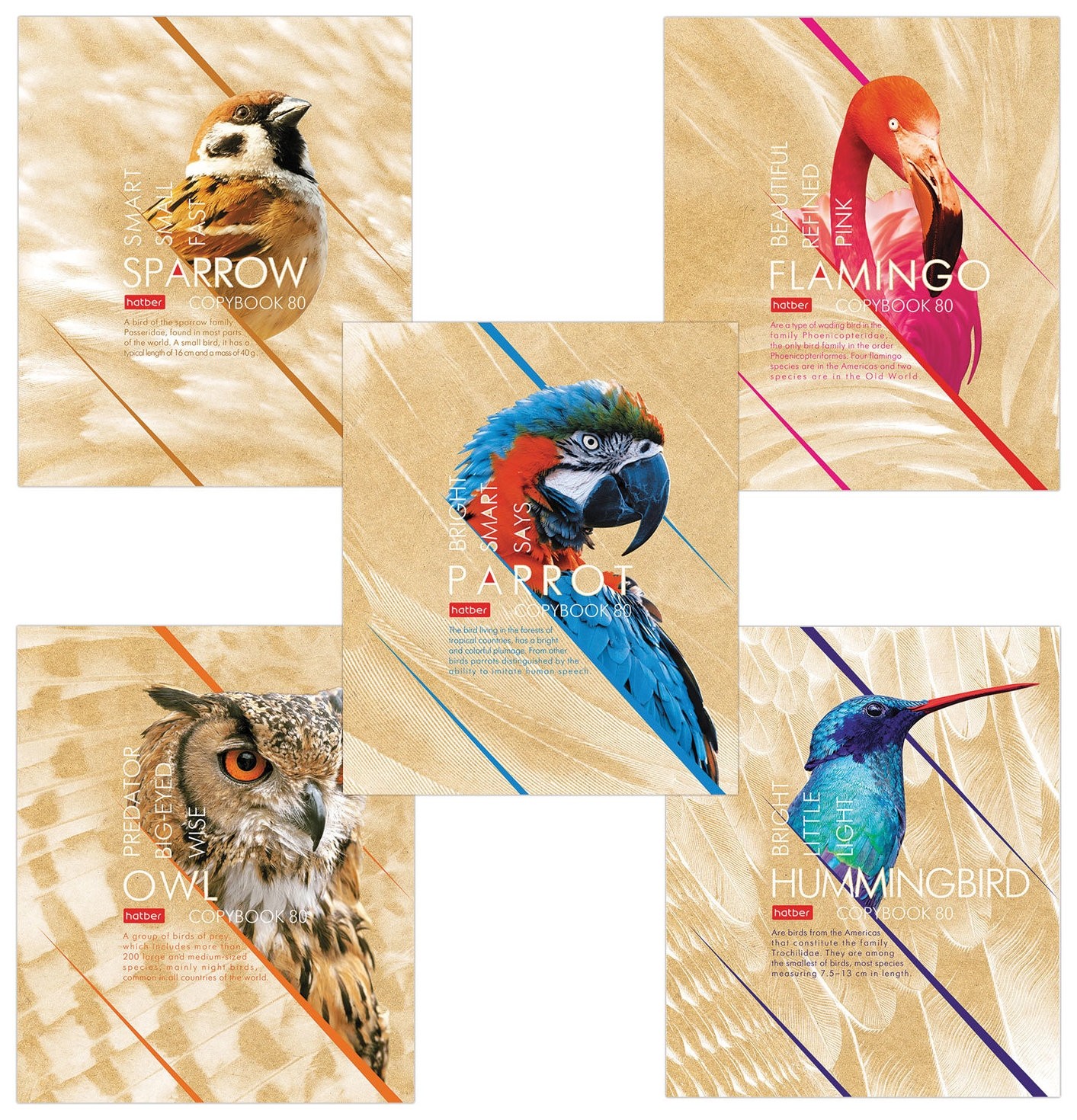 

Тетрадь в клетку 80 листов А5 Birds