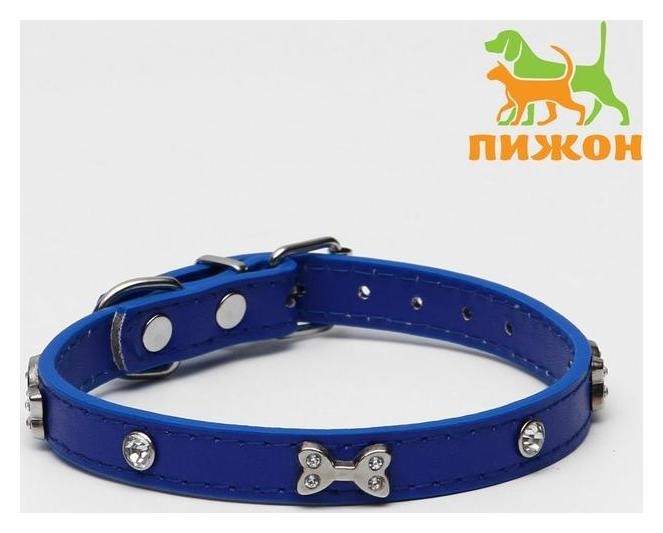 

Ошейник "Косточки и стразы", 38 х 1,5 см, синий