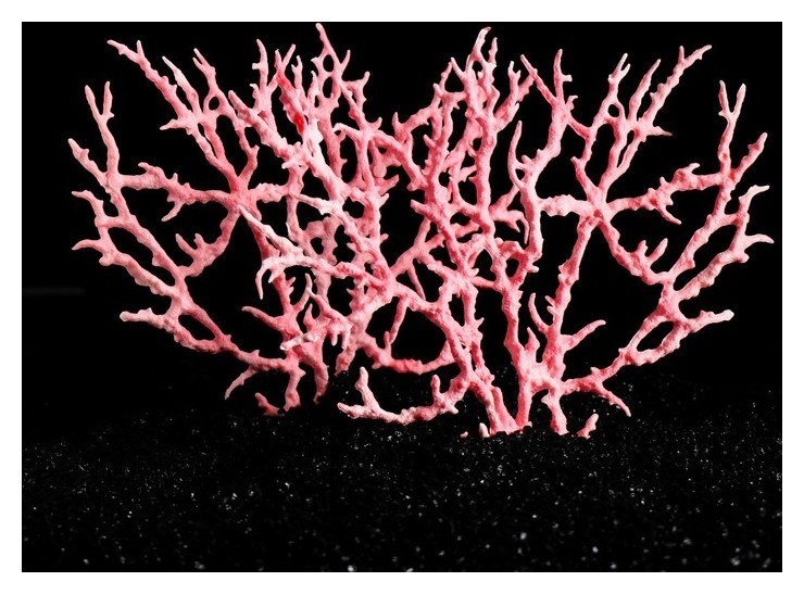 Коралл пластиковый большой 24,5 х 4 х 19 см, розовый