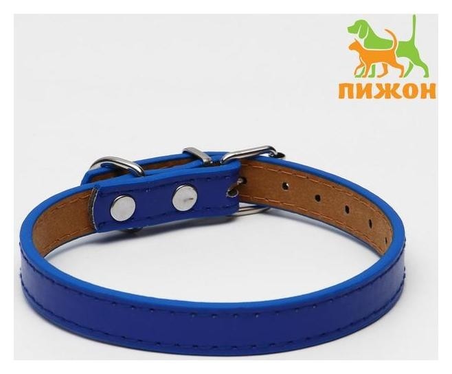 

Ошейник из искусственной кожи с подкладкой "под кожу", ,5 х 1,5 см, микс цветов, Синий
