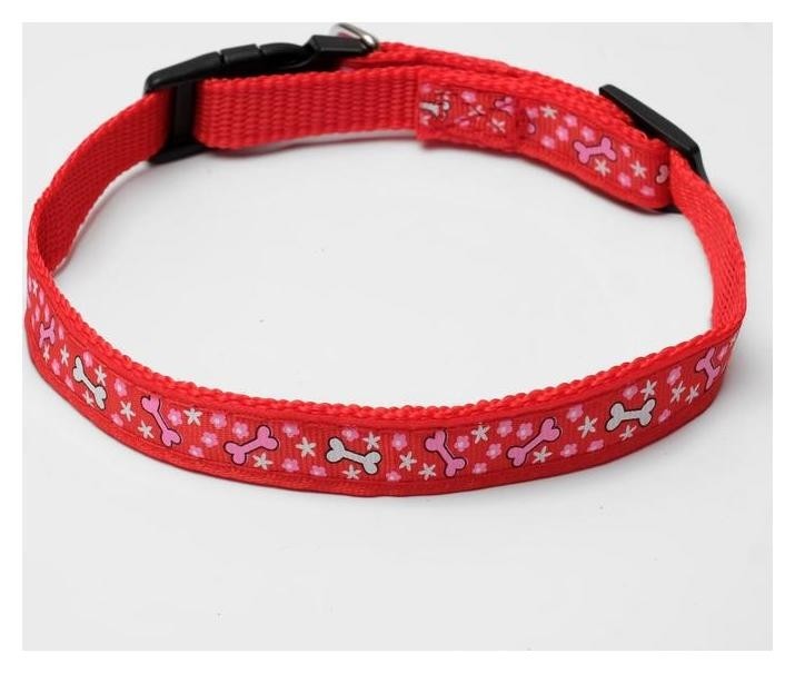 

Ошейник нейлоновый "Звездные косточки", 36 х 1,5 см, красный, Оранжевый