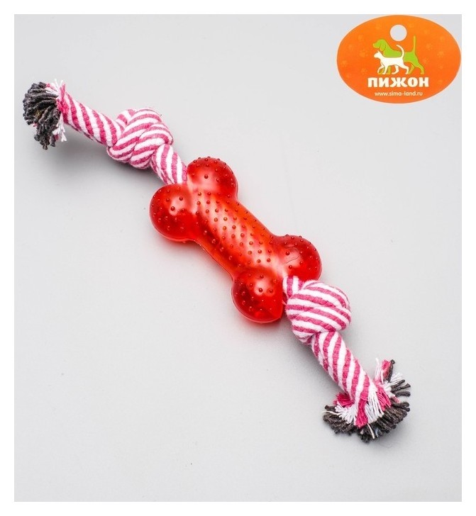 

Игрушка канатная двойная с косточкой, до 90 г, до  см, микс цветов