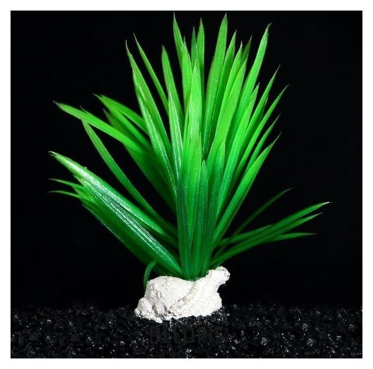 Растение искусственное аквариумное на подставке с ракушкой, 7 х 4,5 х 13,5 см Compаnion