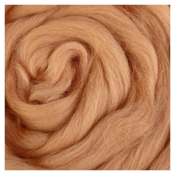 

Шерсть для валяния (005 бежевый), 50 г