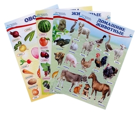 Набор плакатов Домашние, лесные животные, фрукты и ягоды, овощи с заданием, А4 Издательство Сфера