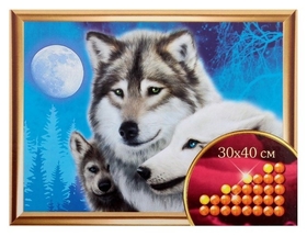 Алмазная вышивка с частичным заполнением «Волки», 30 х 40 см. набор для творчества Школа талантов