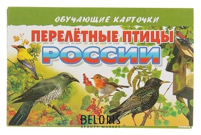 Обучающие карточки «Перелётные птицы россии», 16 карточек Литур
