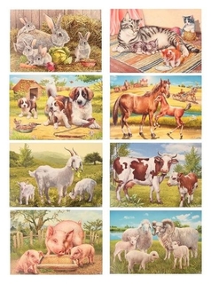 Демонстрационные картины Домашние животные 8 плакатов, А3+ Издательство Сфера